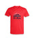 Nayked Apparel Men Men's Ridiculously Soft Midweight Graphic Tee | Grand Teton National Park Red / X-Small / NA210N6-GT
